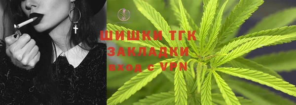 шишки Медвежьегорск