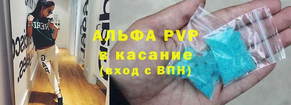 шишки Медвежьегорск
