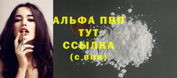 шишки Медвежьегорск