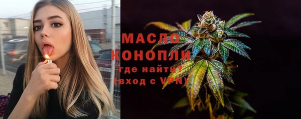 шишки Медвежьегорск