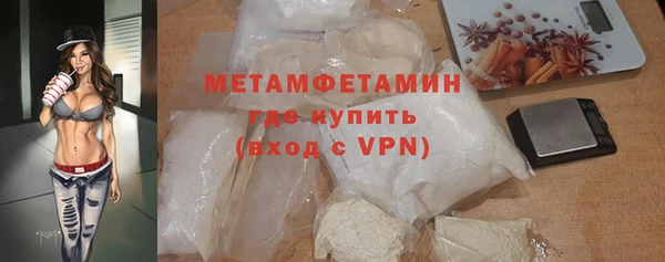 шишки Медвежьегорск