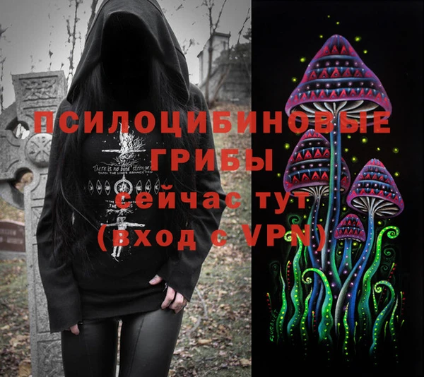 Альфа ПВП Михайлов