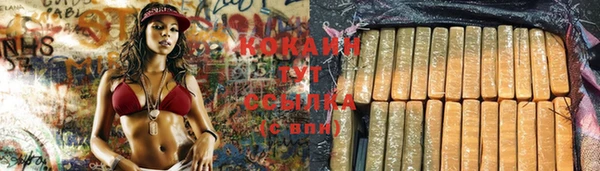 Альфа ПВП Михайлов