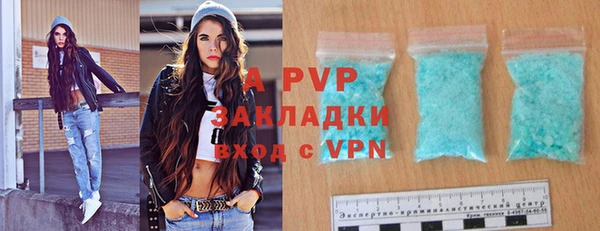 шишки Медвежьегорск