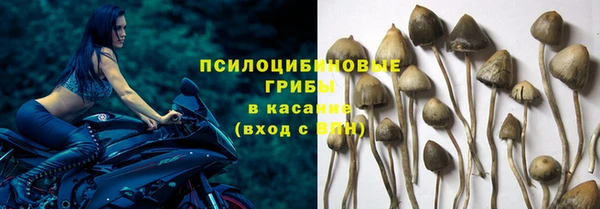 мет Михайловск