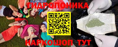 apvp Балашиха