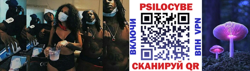 Галлюциногенные грибы Psilocybe  Егорьевск 