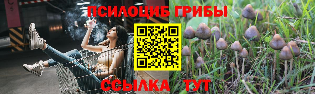 Галлюциногенные грибы GOLDEN TEACHER  Егорьевск  Галлюциногенные грибы Psilocybine cubensis 