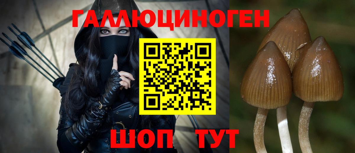 Галлюциногенные грибы Magic Shrooms  Псилоцибиновые грибы прущие грибы  Вход с VPN  Егорьевск 